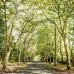 Domaine De La Forge Кемпинг 4*