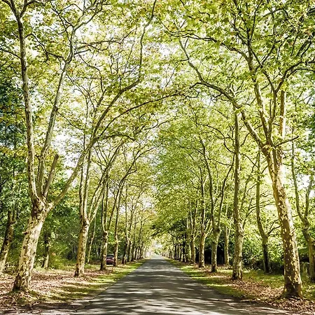 Domaine De La Forge Campsite 4*