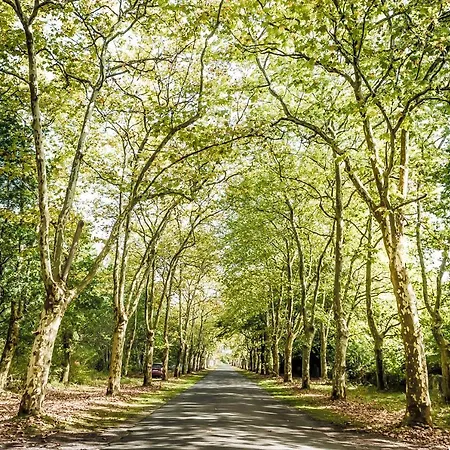 Domaine De La Forge 营地 4*