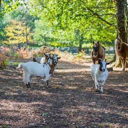 Domaine De La Forge 营地 4*