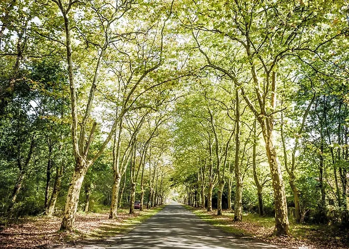 Domaine De La Forge Campingplads 4*