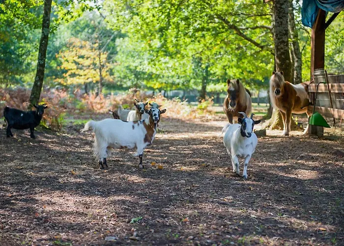 Domaine De La Forge Campingplads 4*